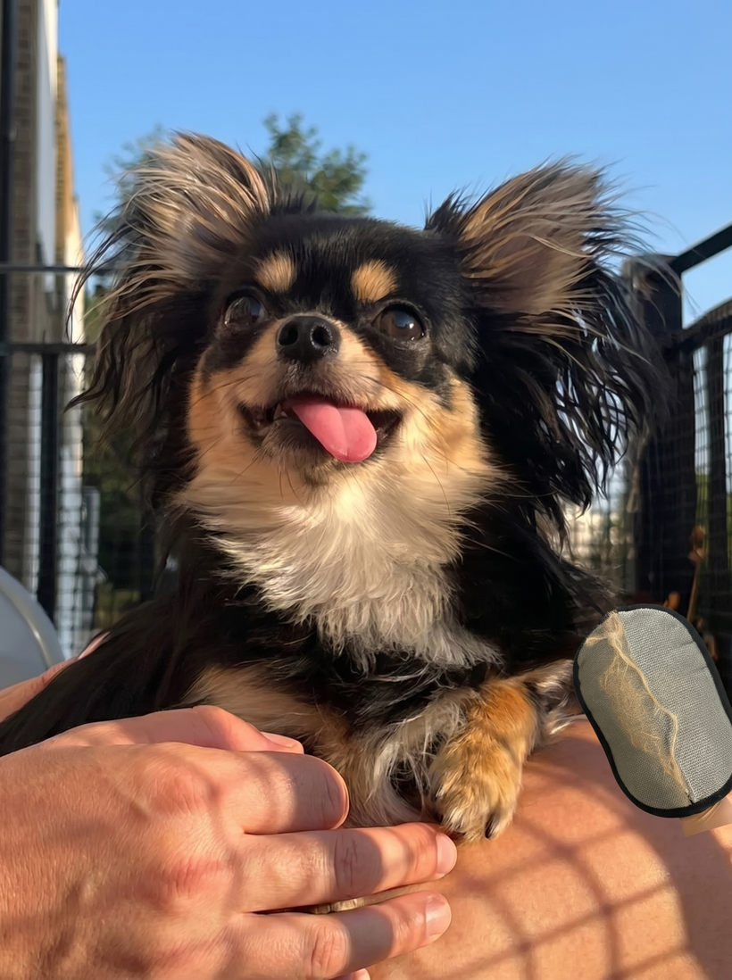 Long-haired dog FurGlide