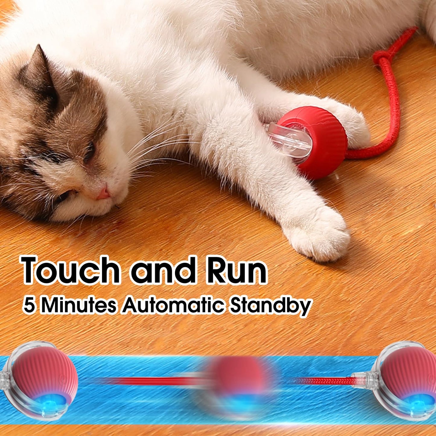 Red smart interactive pet ball close-up