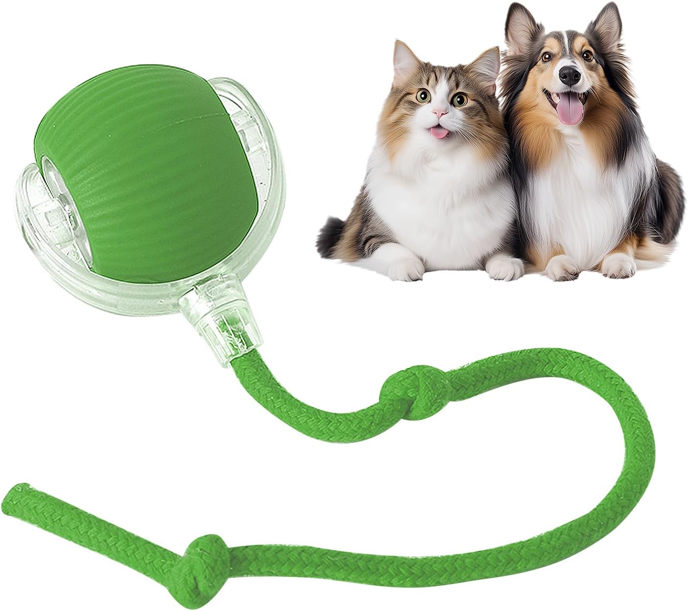 Green smart pet ball with cat and dog