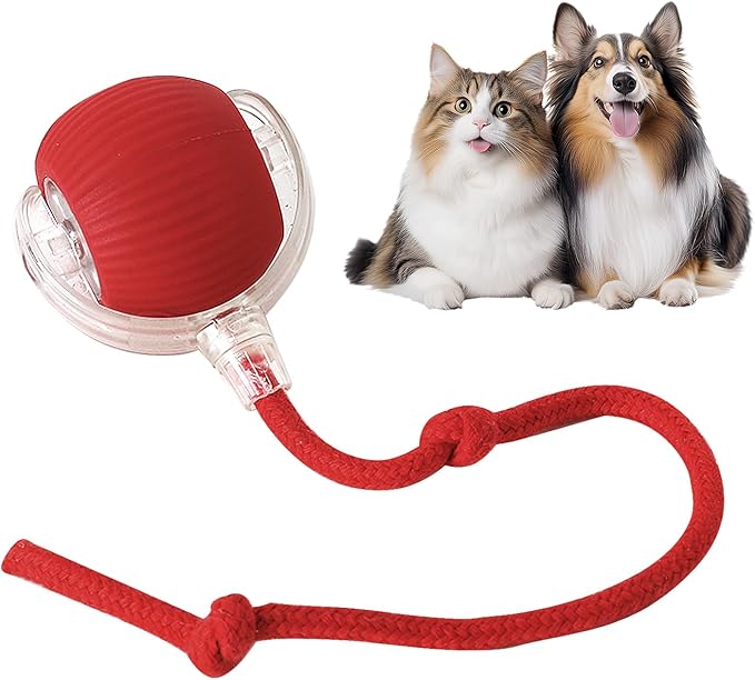 Smart self-rolling pet toy ball with cats and dog