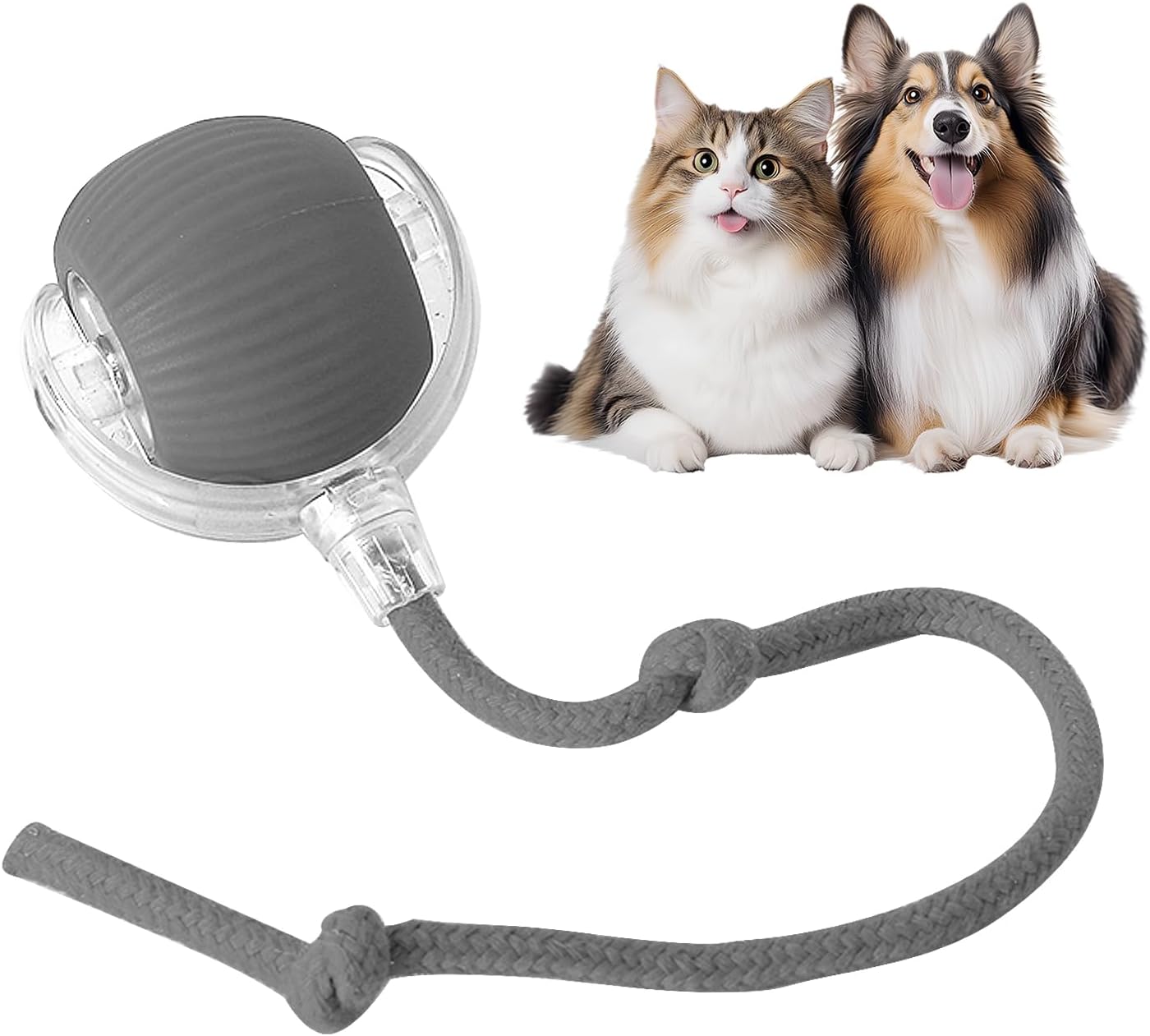 Green smart pet toy ball