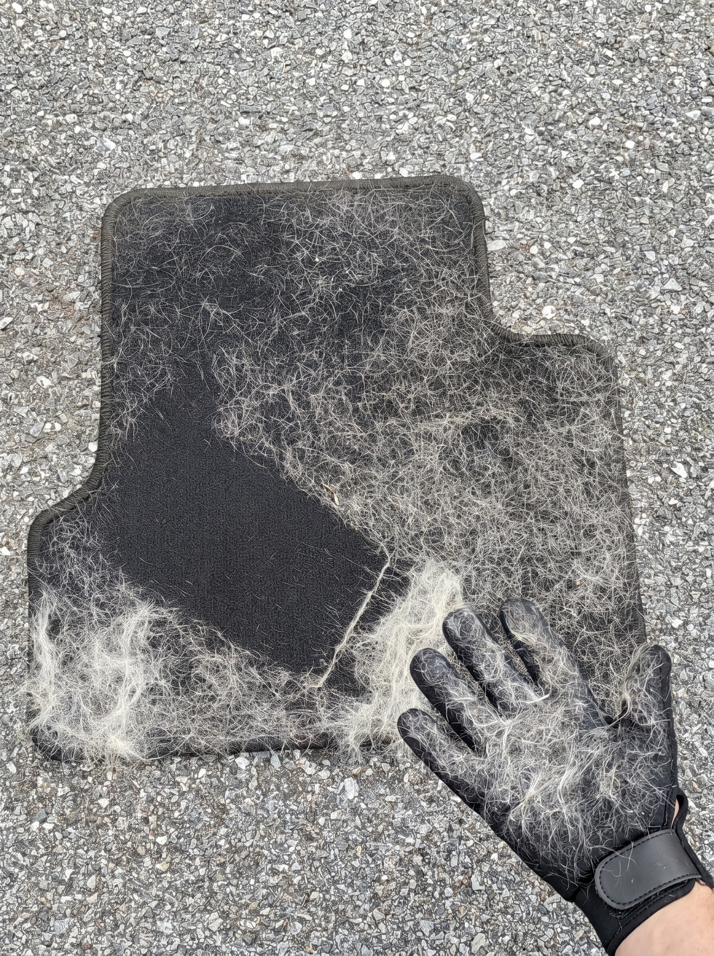 FurGlide on a hairy car mat