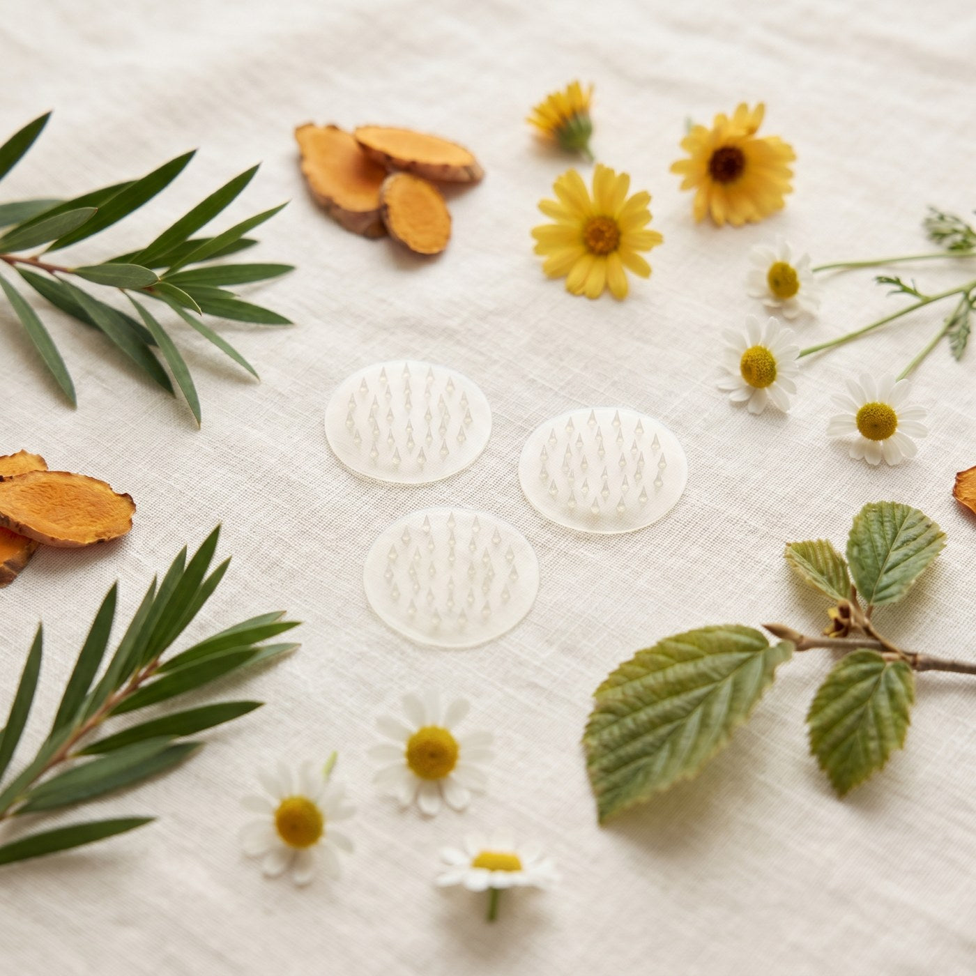 Microneedle skin tag patches with botanical ingredients